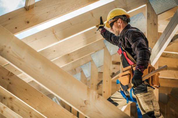Best Roof Leak Repair  in Vla Grove, IL