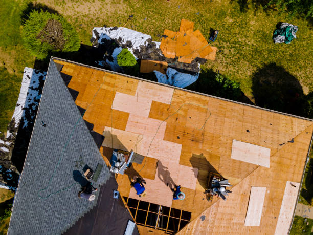 Best Roof Waterproofing Services  in Vla Grove, IL