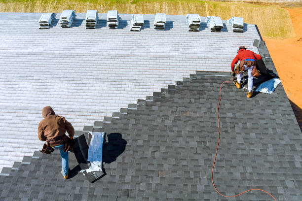 Best Commercial Roofing Services  in Vla Grove, IL