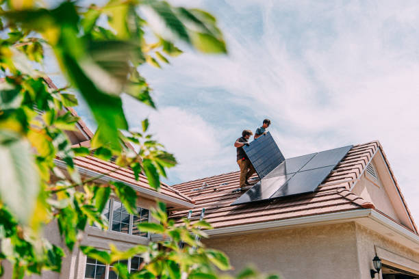 Best Emergency Roof Repair  in Vla Grove, IL