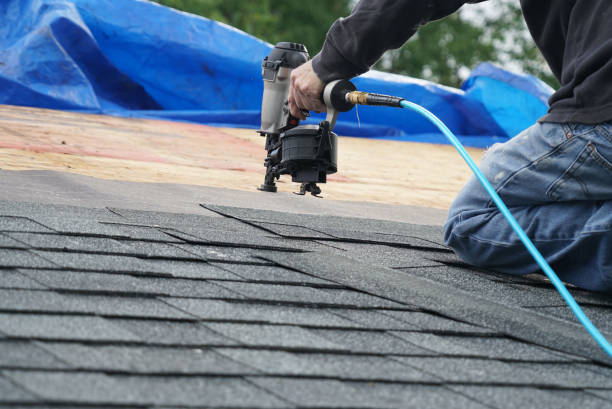 Best Residential Roofing Contractor  in Vla Grove, IL