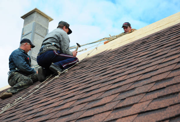 Best Storm Damage Roof Repair  in Vla Grove, IL