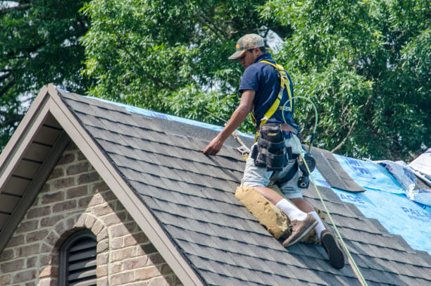 Best Flat Roof Repair Services  in Vla Grove, IL