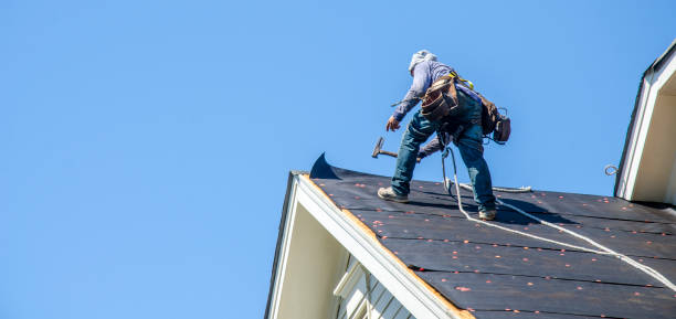 Best New Roof Installation  in Vla Grove, IL